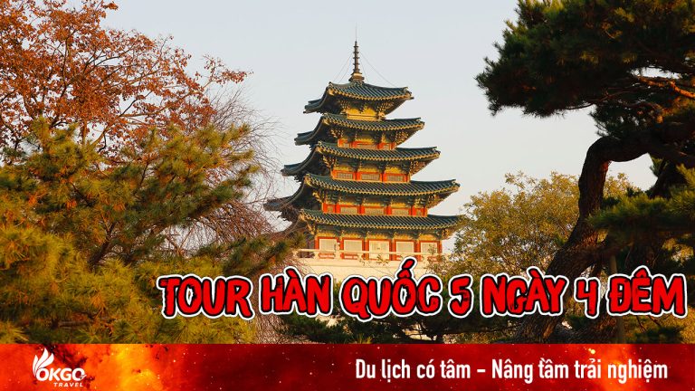 Tour du lịch Hàn Quốc 5 ngày 4 đêm: Du xuân xứ sở Kim Chi